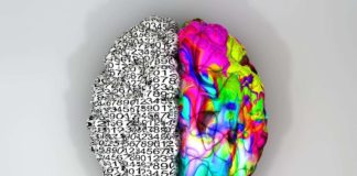 ¿Sabías que la mayoría de los niños sufren de TDAH? Trastorno por Déficit de Atención e Hiperactividad