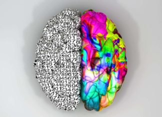 ¿Sabías que la mayoría de los niños sufren de TDAH? Trastorno por Déficit de Atención e Hiperactividad