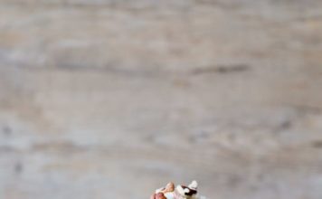 Prepara estos deliciosos panqueques de calabaza