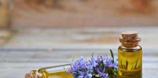 Usa el aceite de Romero para tu belleza aceite de romero