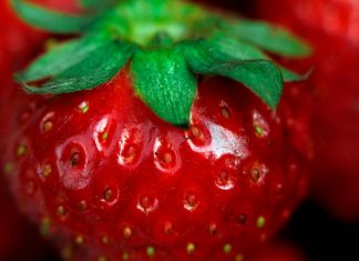 Fortalece tu sistema inmunológico con estos consejos combatir el sistema inmunologico