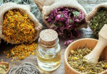 Hierbas adaptogénicas, nueva tendencia en té hierbas adaptogenicas para te
