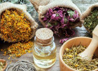 Hierbas adaptogénicas, nueva tendencia en té hierbas adaptogenicas para te