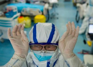 Una peligrosa combinación entre virus, conoce todo aquí coronavirus mexico