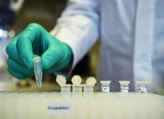 China anuncia desarrollo de vacuna para el COVID-19 Vacuna coronavirus