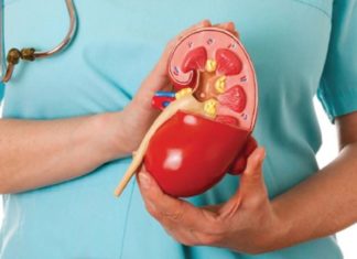 5 bebidas que te ayudan a mantener tus riñones limpios