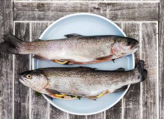 Beneficios de comer pescado beneficios de comer pescado_recetas