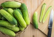 Todo lo que debes saber acerca de los pepinos todo acerca de los pepinos