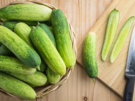 Todo lo que debes saber acerca de los pepinos todo acerca de los pepinos