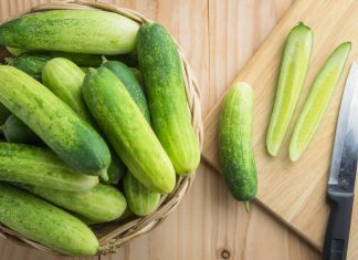 Todo lo que debes saber acerca de los pepinos todo acerca de los pepinos