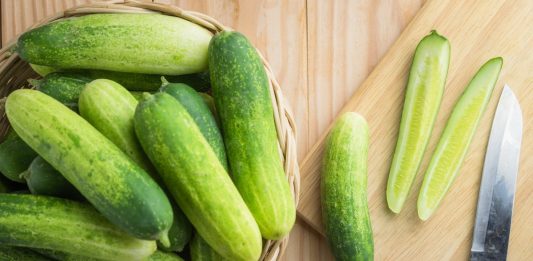 Todo lo que debes saber acerca de los pepinos todo acerca de los pepinos