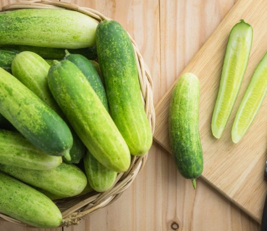 Todo lo que debes saber acerca de los pepinos todo acerca de los pepinos