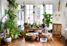 Beneficios de tener plantas en tu hogar Beneficios de tener plantas en casa