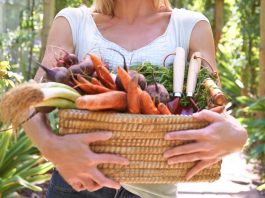 Mitos y verdades del veganismo mitos y verdades del ser vegano