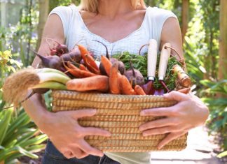 Mitos y verdades del veganismo mitos y verdades del ser vegano