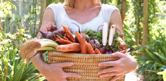 Mitos y verdades del veganismo mitos y verdades del ser vegano