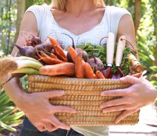 Mitos y verdades del veganismo mitos y verdades del ser vegano