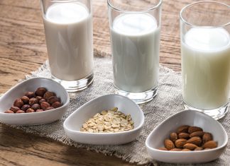 ¿Por qué tomar leche de origen vegetal? tipos de leche de origen vegetal