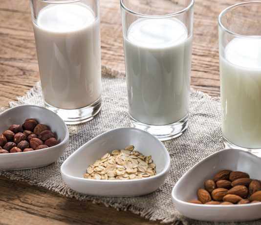 ¿Por qué tomar leche de origen vegetal? tipos de leche de origen vegetal