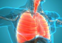 Alimentos que ayudan a tus pulmones