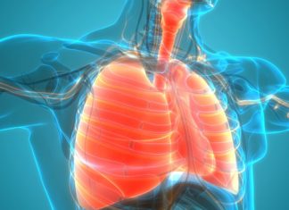 Alimentos que ayudan a tus pulmones