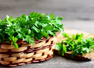 El perejil y su gran contenido vitamínico.