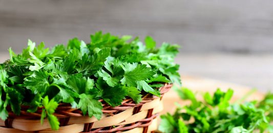 El perejil y su gran contenido vitamínico.