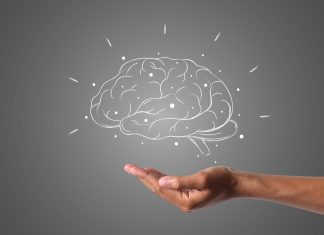 5 alimentos que ayudan a tu memoria.