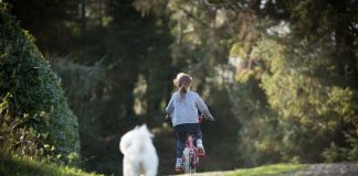 Bicicleta, más que un juguete para los niños.