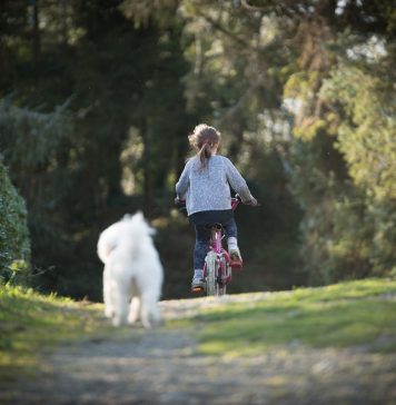 Bicicleta, más que un juguete para los niños.