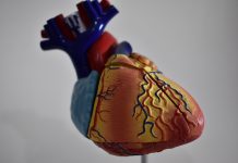 La verdura que protege tu corazón