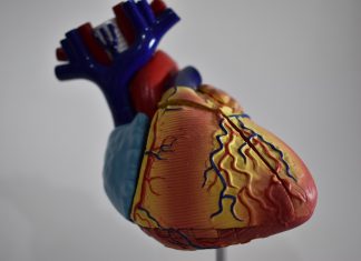 La verdura que protege tu corazón