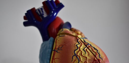 La verdura que protege tu corazón