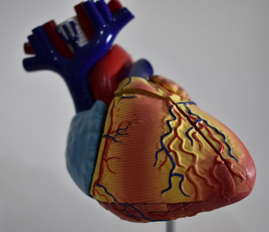 La verdura que protege tu corazón
