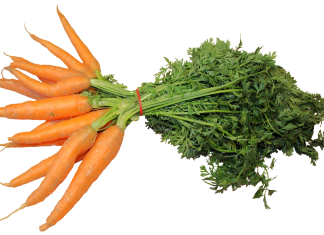 Gelatina de zanahoria