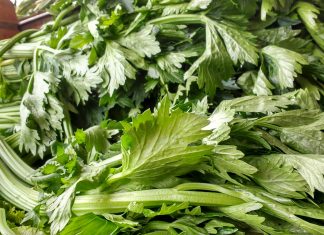 ¿Jugo de apio cómo sustituto de comida?