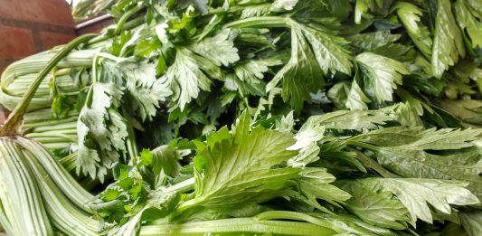 ¿Jugo de apio cómo sustituto de comida?