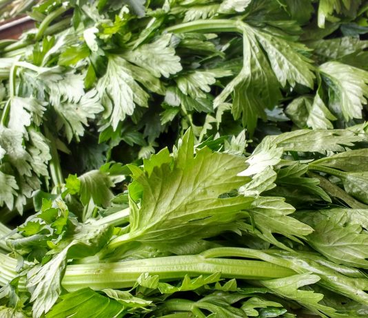 ¿Jugo de apio cómo sustituto de comida?
