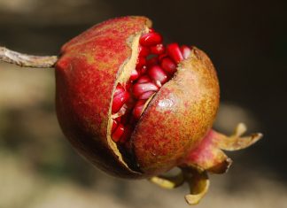 Propiedades benéficas de la granada
