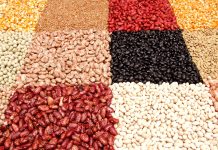 Legumbres, las proteínas del futuro.