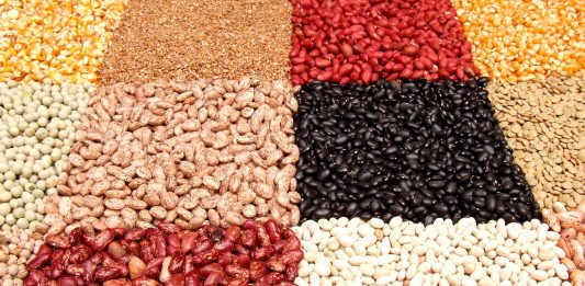 Legumbres, las proteínas del futuro.