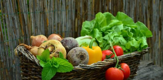 Los cinco alimentos más sanos