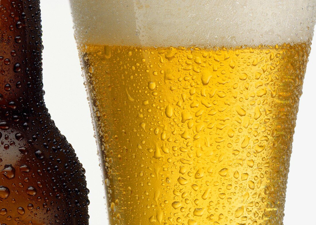 cerveza ligera bebidas bajas en calorias revista comebien