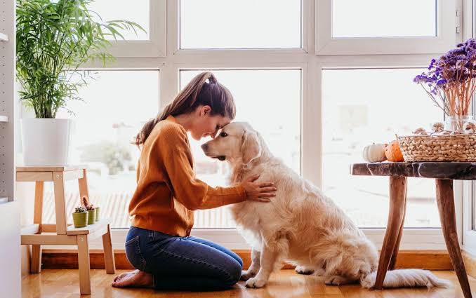 Consejos para que tu mascota luzca increíble