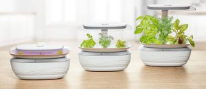 Huerto doméstico SmartGrow de Bosch