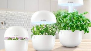 Huerto doméstico SmartGrow de Bosch