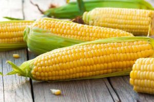 ¿Es malo comer maíz si sufres de diabetes