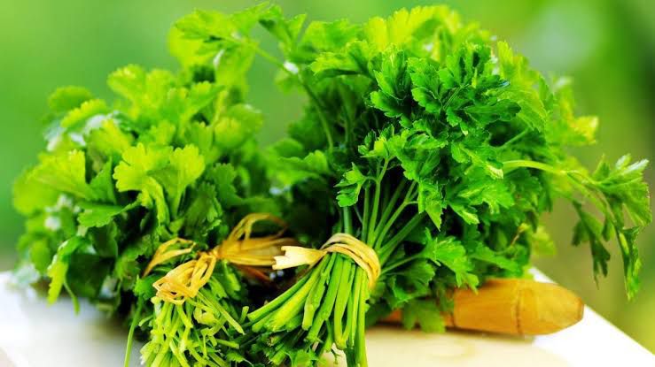 Beneficios de consumir cilantro regularmente