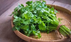 Beneficios de consumir cilantro regularmente