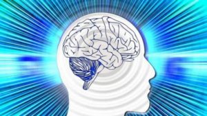 Hábitos para mantener alerta tu cerebro